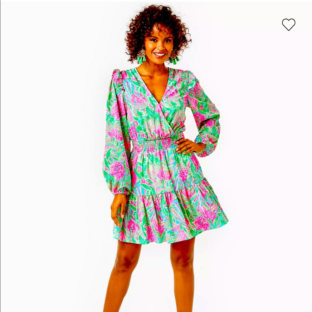 Lilly Pulitzer ladies dress.